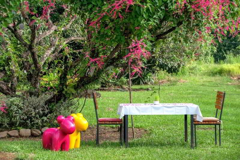 Aurora Resort Chiangdao Chiang Dao Extérieur photo
