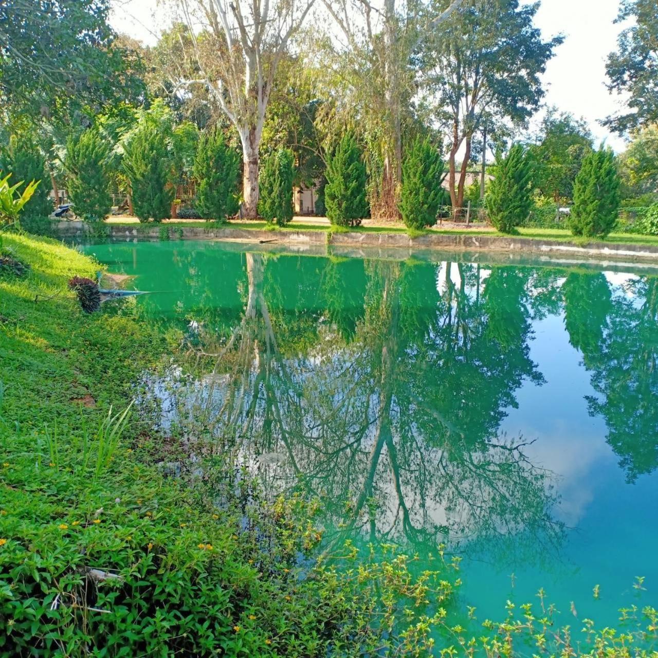 Aurora Resort Chiangdao Chiang Dao Extérieur photo